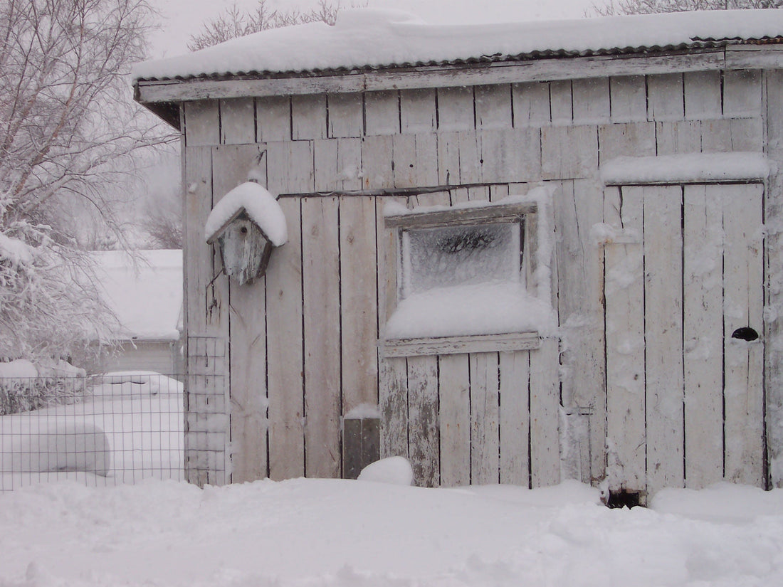 One Person Can’t Make a Difference?