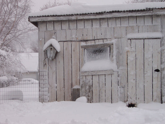 One Person Can’t Make a Difference?